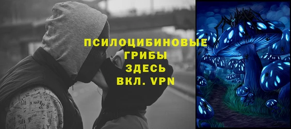 МДПВ Алзамай