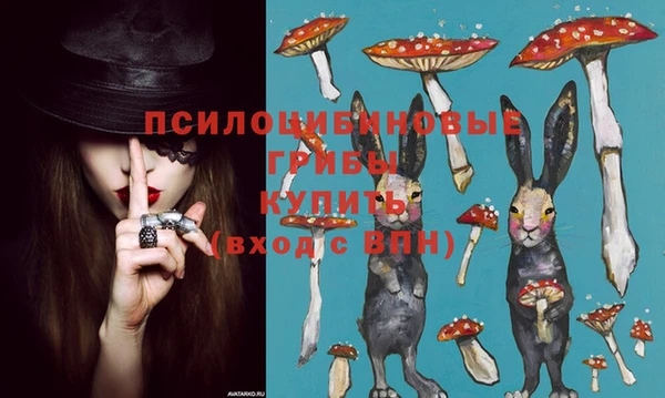гидропоника Няндома